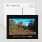 テキサス州系 ポストカード (正面/裏面)