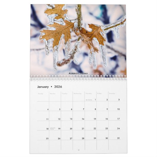 テキサス州素晴らし暦州 カレンダー (1月 2026)