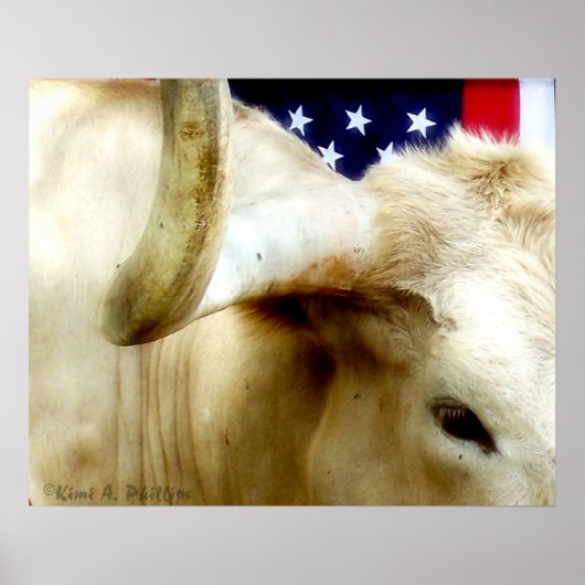 テキサス州誇りを持ったポスター ポスター (正面)