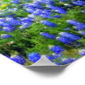 テキサス州野花 ポスター (角)