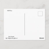 テキサス州野花 ポストカード (裏面)