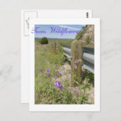 テキサス州野花 ポストカード (正面/裏面)