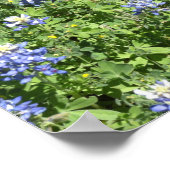 テキサス州鮮やかブルーボンネット壁ポスター ポスター (角)