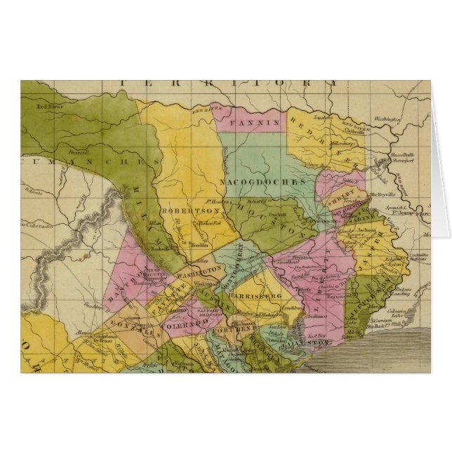 テキサス州 (正面横)