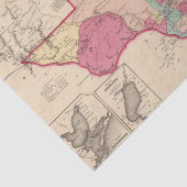 テキサス州10 薄葉紙 (詳細)