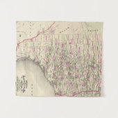 テキサス州12 タペストリー (正面(横))