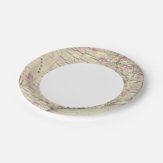 テキサス州12 ペーパープレート (アングル)