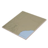 テキサス州2の立体模型地図 タイル (側面)