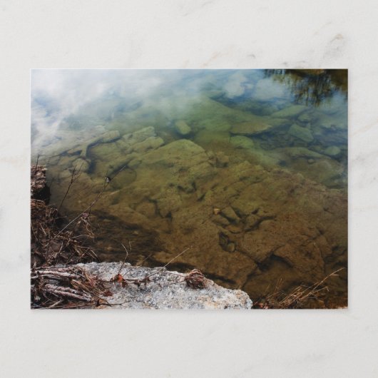 テキサス州3葉書の恐竜の足跡 ポストカード (正面)