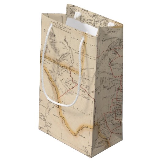 テキサス州4 スモールペーパーバッグ (裏面アングル)