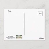 テキサス州 おもしろい ポストカード (裏面)