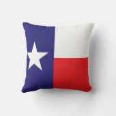 テキサス州 クッション (裏面)