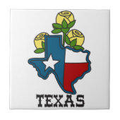 テキサス州 タイル (正面)