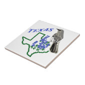 テキサス州 タイル (側面)