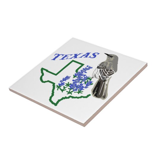 テキサス州 タイル (側面)