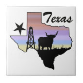 テキサス州 タイル (正面)