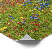 テキサス州、テキサス州ヒルカントリー、テキサス州ペイントブラシ ポスター (角)