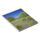 テキサス州、テキサス州ヒルカントリー、ローブラダーポッド、 ノートパッド (アングル)