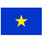 テキサス州、テキサス州国旗（1836年～1839年）小像 フォトスカルプチャー<br><div class="desc">テキサス州、テキサス州国旗（1836年～1839年）</div>