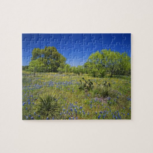 テキサス州、テキサス州·ヒル·カントリー、ロー·ブレードダーポッド、 ジグソーパズル (横)