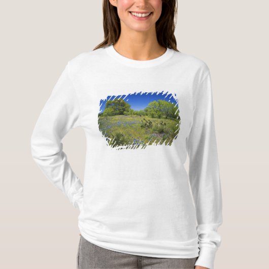 テキサス州, テキサス ヒルカントリー, Low bladderpod Tシャツ (正面)