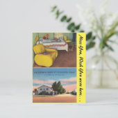 テキサス州、フォードのコート。ストックトン ポストカード (スタンド正面)