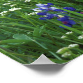 テキサス州、ブキャナン湖。テキサス州・ブルーボンネット・ワイルド ポスター (角)