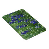 テキサス州、ブキャナン湖。テキサス州・ブルーボンネット・ワイルド マグネット (右側)