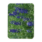 テキサス州、ブキャナン湖。テキサス州・ブルーボンネット・ワイルド マグネット (縦)