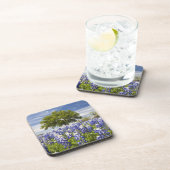 テキサス州·ブルーボンネッツ(ルピヌス·テクセンス)とオーク コースター (右側)