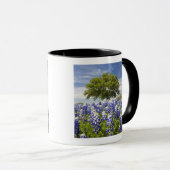 テキサス州·ブルーボンネッツ（ルピヌス·テクセンス）とオーク マグカップ (正面右)