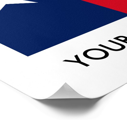 テキサス州 ポスター (角)