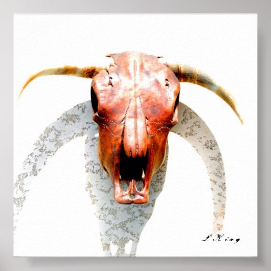 テキサス州 ポスター (正面)