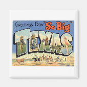 テキサス州 マグネット (正面)