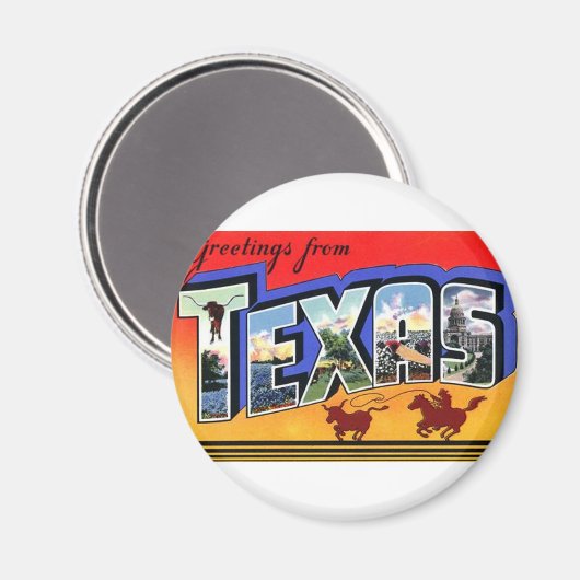 テキサス州 マグネット (正面/裏面)