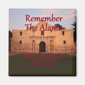 テキサス州 マグネット