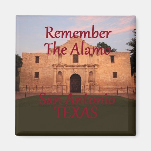 テキサス州 マグネット (正面)