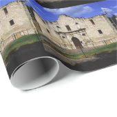 テキサス州 ラッピングペーパー (ロールコーナー)