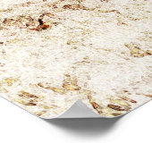 テキサス州・ロングウ素朴ェアのポスター ポスター (角)