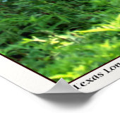 テキサス州・ロングホーン・ステア ポスター (角)