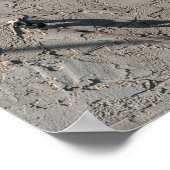 テキサス州、建物記号、色、ヴィンテージ ポスター (角)
