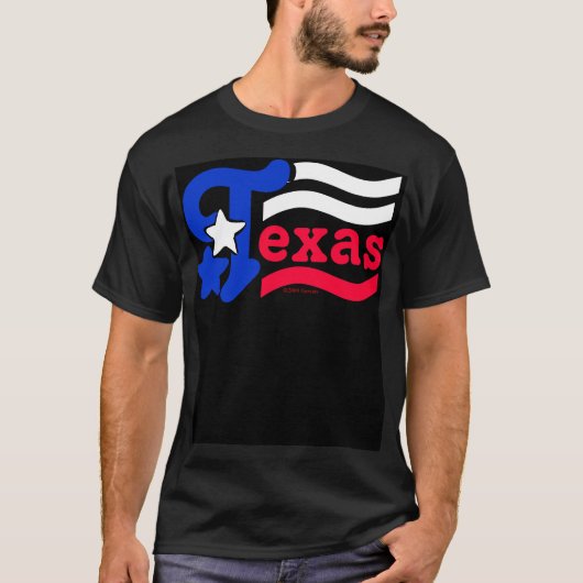 テキサス州 Tシャツ (正面)