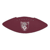 テキサス州A&M大学 – サンアントニオ |ジャガー アメリカンフットボール (パネル)