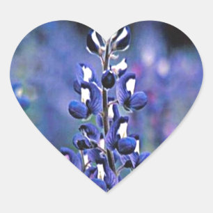 テキサス州Bluebonnet ハートシール