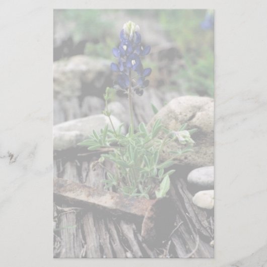 テキサス州Bluebonnet 便箋 (正面)