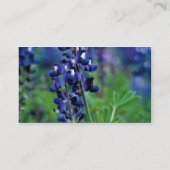 テキサス州Bluebonnet 名刺 (裏面)