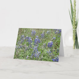 テキサス州Bluebonnets カード