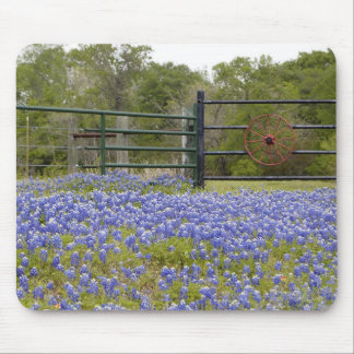 テキサス州Bluebonnets マウスパッド
