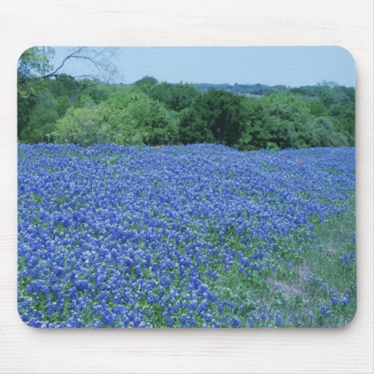 テキサス州Bluebonnets マウスパッド (正面)