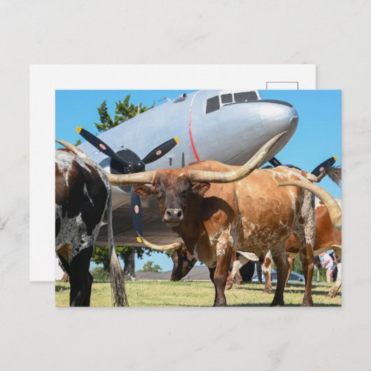 テキサス州C-47スカイトレイン ポストカード (正面/裏面)